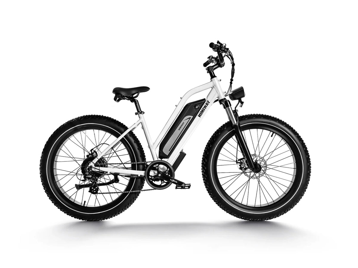 Himiway Cruiser D3 - All Terrain E-Bike by Himiway