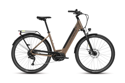 Deruiz Quartz Pro 2026 by DeRuiz