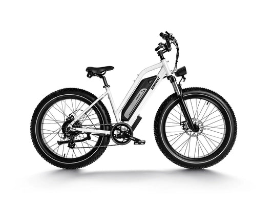 Himiway Cruiser D3 - All Terrain E-Bike by Himiway