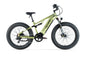 Cyrusher Rover - All-Terrain Elektrofahrrad 250W 52V 15.6Ah by Cyrusher