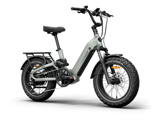 Himiway D5 2.0 20" by Himiway Bike